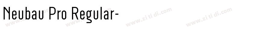 Neubau Pro Regular字体转换
